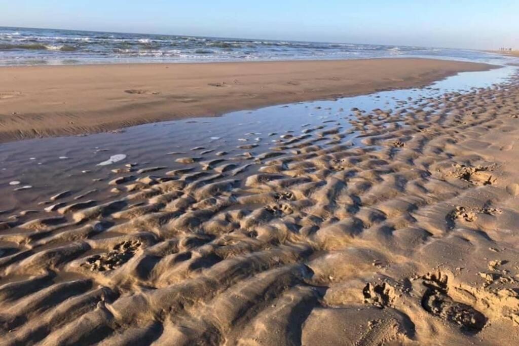 נורדוויק Blue Beach House 350 Meters From Sea מראה חיצוני תמונה